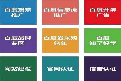 竞价排名案例：跨平台推广效果分析
